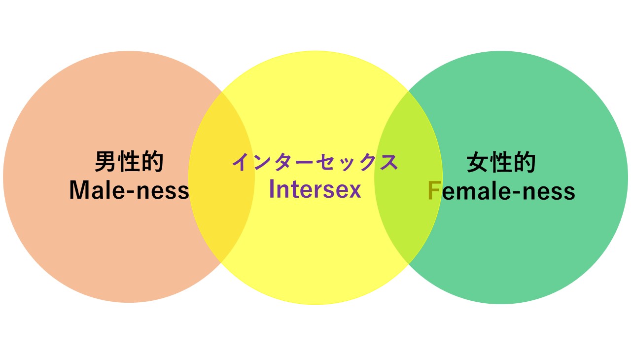 男性的とインターセックスと女性的の円が少し重なり合って並んでいる