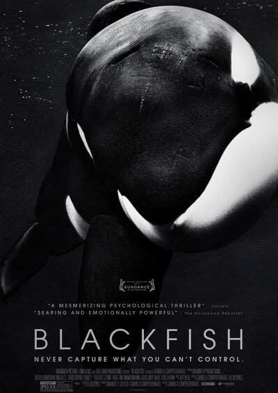 ブラックフィッシュ