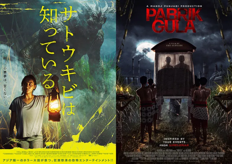 『サトウキビは知っている』のポスター